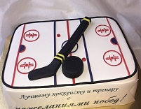 Торт "Хоккейная площадка"